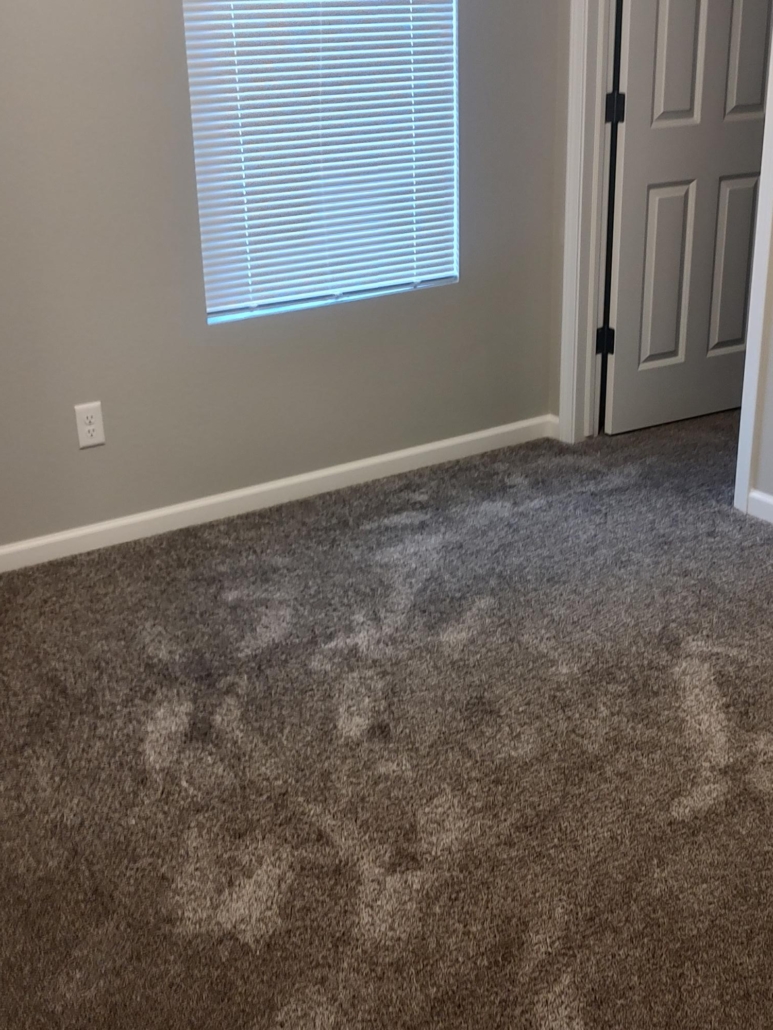 IMG_20221115_164303426_HDR